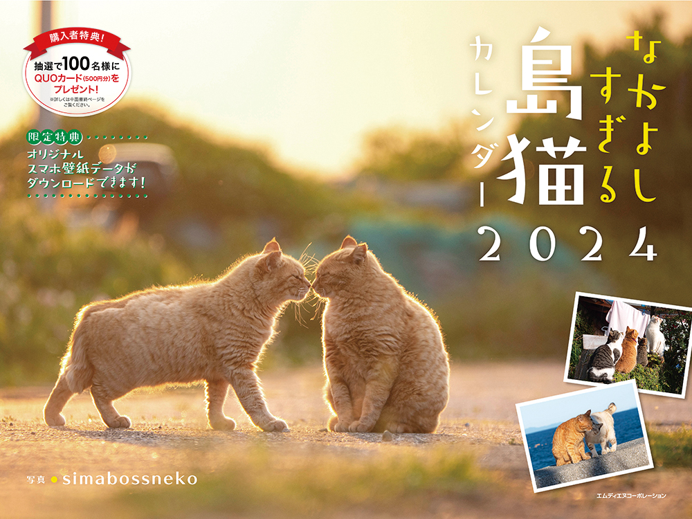 【B賞】2024 なかよしすぎる島猫カレンダー