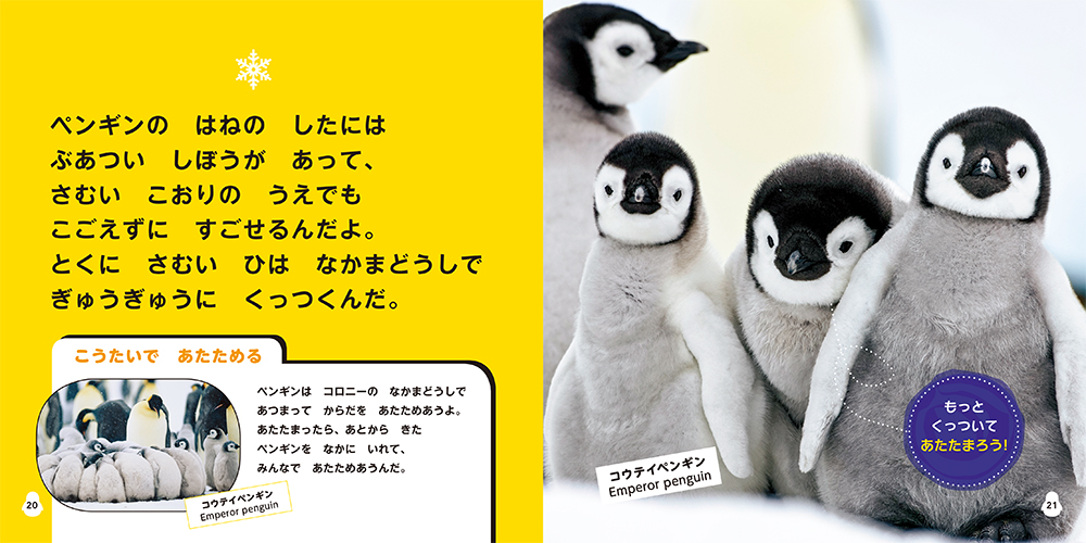 世界的な児童書「ナショナル ジオグラフィック キッズ」が本格始動！『のそのそ パンダ』『よちよち ペンギン』など6冊が一挙発売｜株式会社エム